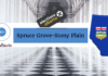 Spruce Grove-Stony Plain Constituency
